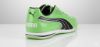 صورة شوز بوما رجالي اخضر * ازرق * ابيض