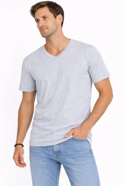 صورة تيشيرت رجالي رمادي برقبة V (INSIDE)