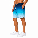 Picture of Gradient Blue Swim Shorts(INSIDE)