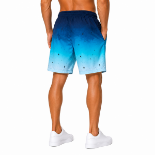Picture of Gradient Blue Swim Shorts(INSIDE)