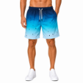 Picture of Gradient Blue Swim Shorts(INSIDE)