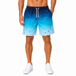 Picture of Gradient Blue Swim Shorts(INSIDE)